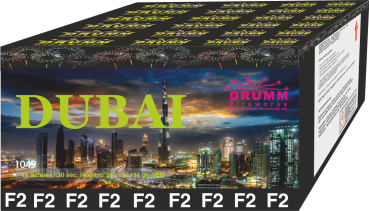 DUBAI 2025 - 49 SCHUSS