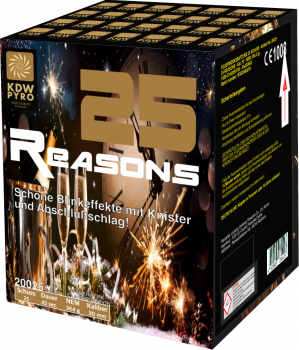 25 Reasons Batteriefeuerwerk