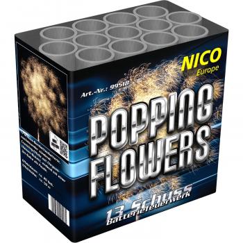 Popping Flowers, 13 Schuss