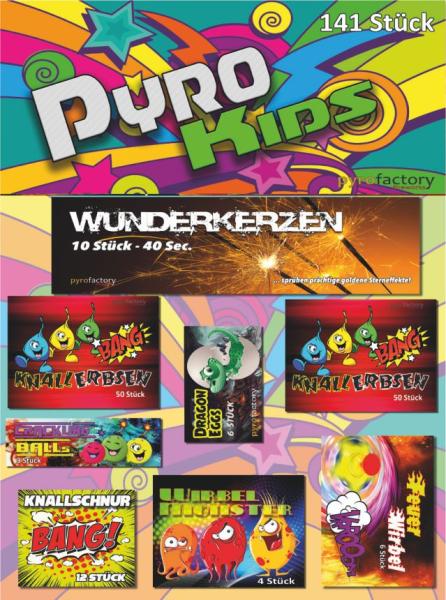 Pyro Kids Sortiment - 141 teilig - Kopie